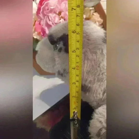 Wild  Republic Spotted Gray Harbor Seal Plush Stuffed Animal Toy 14" - Picture 8 of 10